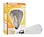 SYLVANIA A19 LED Light Bulb, 60W Equivalent Efficient 6.5, Dimmable, 13 Year, 800 Lumens, 2700K, Soft White, Clear Finish - 1 Pack (74589)