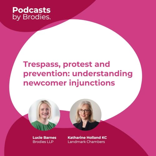 Trespass, protest and prevention: understanding newcomer injunctions