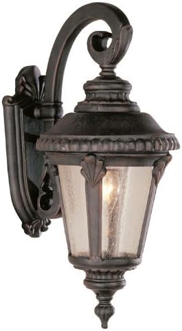 Trans Globe Lighting TG5043 RT Traditional One Wall Lantern Outdoor-Post-Lights, Bronze/Dark