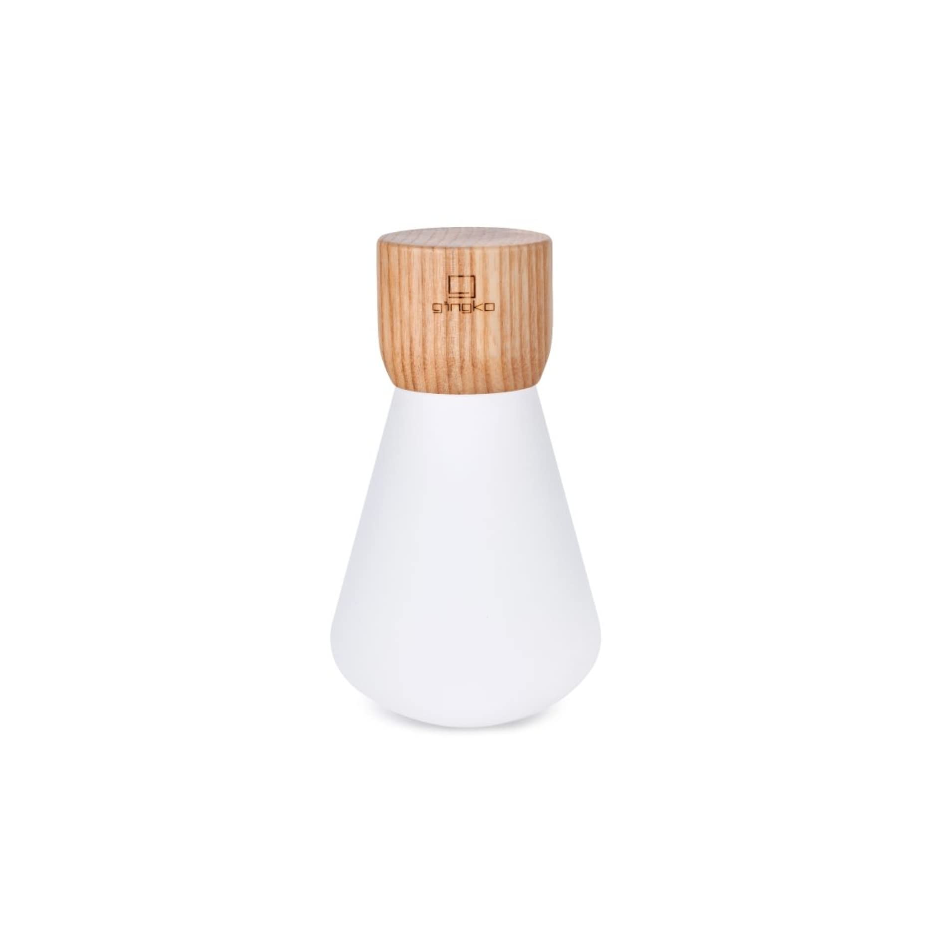 Gingko Pentagon Desk Dimmable 7 Colour Changing RGB LED Bulb Lamp with Non-Fragile Acrylic Glass and FSC Certified Wood, Mood Light, USB-C Charging, Touch Control, Premium Gift Box (Mini, White Ash)