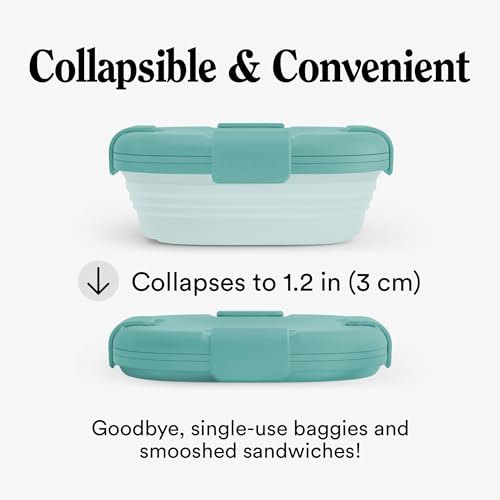 STOJO Collapsible Sandwich Box – 24oz, Reusable Food Storage Container, Silicone Bowl for Hot/Cold Food – Meal Prep, Lunch, Camping, Hiking – Dishwasher Safe (Set of 1, Eucalyptus Green)