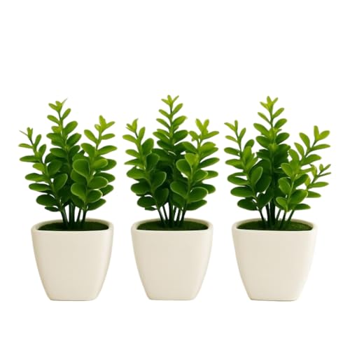 Vaso de Eucalipto Artificial com Decoração de Vaso Quadrado