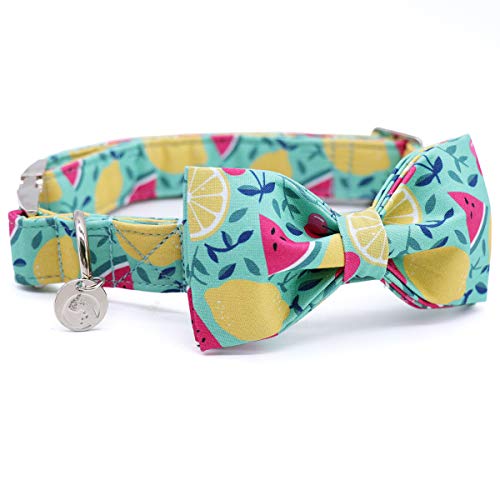 DOGWONG Hundehalsband mit Fliege, Sommergrüne Zitrone Haustierhalsband Hundefliege Geschenk für Mädchen oder Jungen Hunde, Bequeme verstellbares Hundehalsband für kleine mittelgroße Hunde