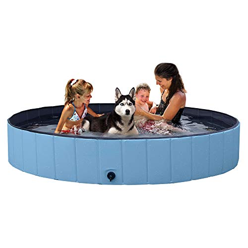 best kiddie pool for dogs