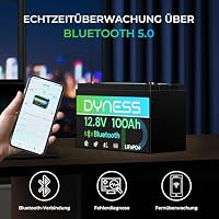Dyness LiFePO4 12V 100Ah Lithium Batterie Bluetooth mit 100A BMS, Max.15000 Zyklen, 12V Deep Cycle Lithium Eisenphosphat Batterie für Wohnwagen, Boote, Solarsystem, Netzunabhängig – Ansicht 4