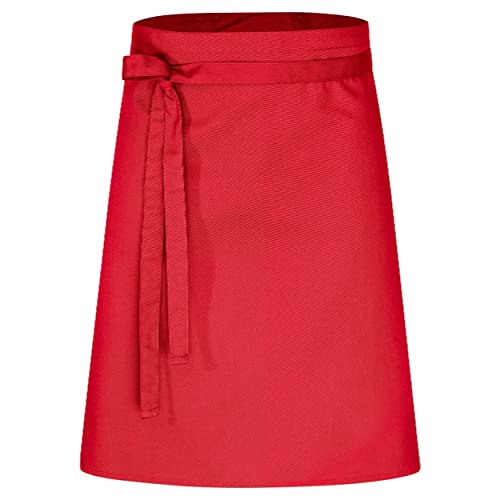 DESERMO Set van 5 premium voorbinders, 60 x 80 cm (l x b), hoogwaardig professioneel schort voor dames en heren, keukenschort van katoenmix, schort met grote kleurkeuze, stofgewicht 220 g/m², kleur