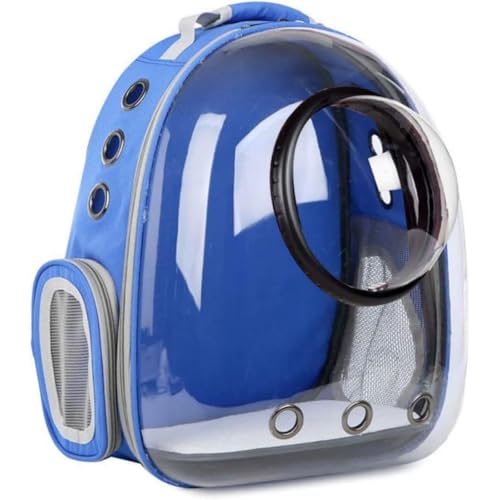 Momgla L[obO bN LL[ bN FD JvZ y ^p hCu LsO s ʉ@ ω׏d (u[)