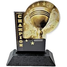 Express Medals 6 Inch Full Color Acrylic Champion Trophy Award Plaque Prime Gift