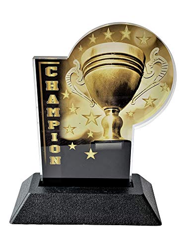 Express Medals 6 Inch Full Color Acrylic Champion Trophy Award Plaque Prime Gift #TOP15