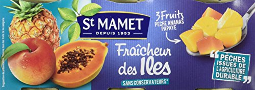  St MAMET les Vergers - Les Fruits en Morceaux ...