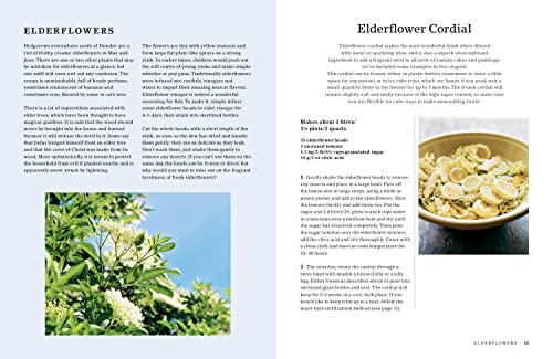 The Hedgerow Cookbook: Delicious Recipes for Foraged Food - Image 2