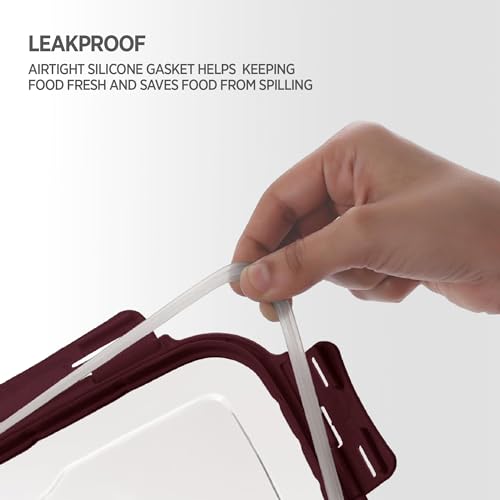 Image of Dhara Stainless Steel Blaze Tiffin Box for School, 800ml Airtight Lunch Box 600ml with Mini Container 200ml and Spoon - Maroon