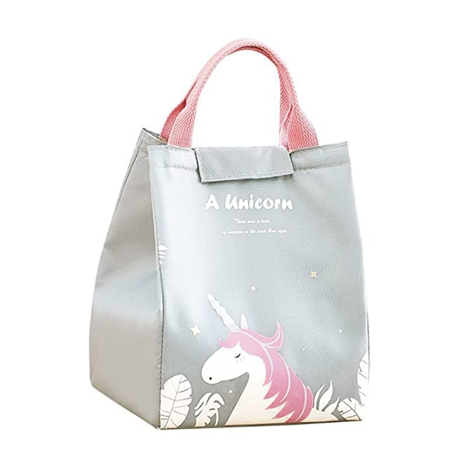 Buy Flywind Insulated Lunch Bag Insulated Lunch Box Canvas Fabric with ...