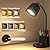 LED Cute Desk Lamp with 2 USB Charging Port,1000LM Eye-Caring Study Lamp 3 Color Modes 4 Brightness Touch Control Table Lamp with Pen/Phone Holder,Gooseneck Desk Light for Home Office, Reading, Study