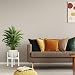 Relaxdays 10028822 Soporte Macetas, Pie para Plantas, hasta 32 cm, Patas Macetero,...