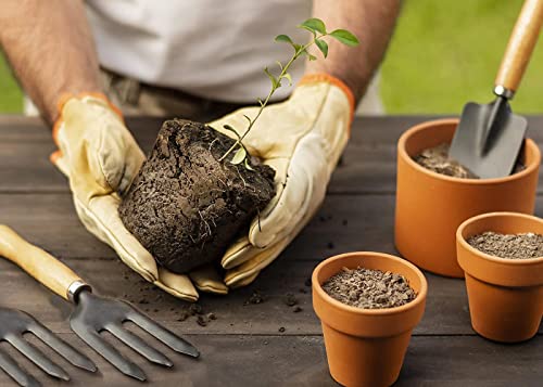 Gardening Tools Set - 3-Pieces | Gardening Tools Kit | Garden Spectacular | Garden Tool Wooden Handle | Combo of Hand Cultivator, Small Trowel, Garden Fork