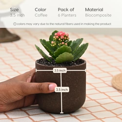 Image of Eha Earth-Friendly Terrapod Planters for Home Decor | 3.5 Inch, Pack of 6 | Small Plant Pot Made with Rice Husk Biocomposite | Flower Pot for Living Room | Coffee