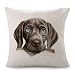 Imagen de Yelolyio Weimaraner