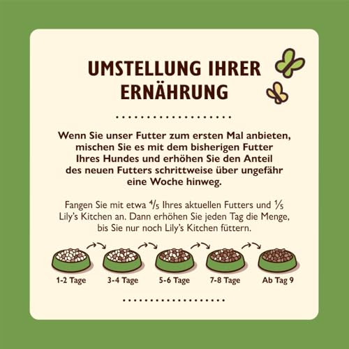 Lily's Kitchen Mit natürlichen Zutaten hergestellt Für ausgewachsene Hunde Trockenfutter Hirtenkuchen Ausgewogene Rezeptur 1kg Beutel