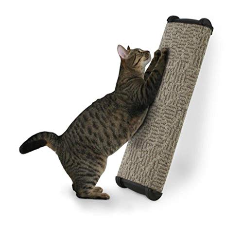 Omega Paw Lean-It Anywhere Griffoir 66 cm