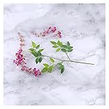 Liebe und Schönheit, Strahlung, Tapferkeit