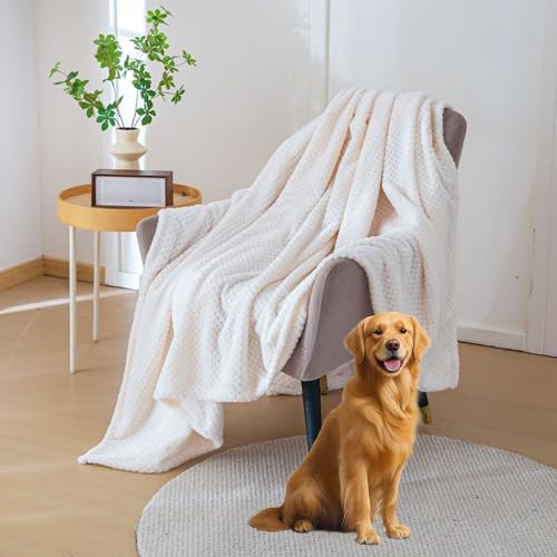 G|ѕz  Ђ|uPbg 160 x 270 cm ӂƂ_炩Gyʐ􂦂銦΍ygRRQp\t@[p, ItzCg