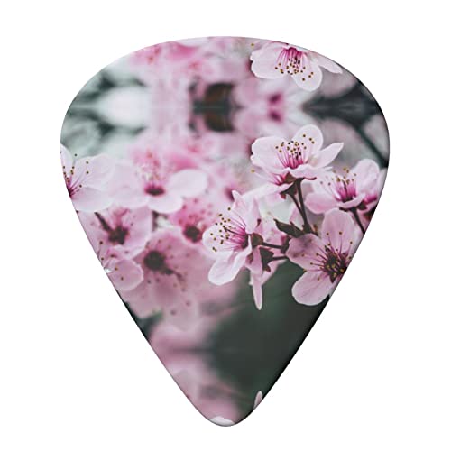 Pink Cherry Blossoms Lot de 6 médiators pour guitare acoustique, guitare électrique, basse, ukulélé – fins, moyens et… - Les Beatles, Paul McCartney, John Lennon, RIngo Starr, George Harrison Pink Cherry Blossoms Lot de 6 médiators pour guitare acoustique, guitare électrique, basse, ukulélé – fins, moyens et… – Image 4