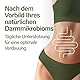 Nupure® Probaflor Plus 400 Milliarden KBE/g*, 60 Kapseln, Hochdosiert, 20 Stämme Milchsäurebakterien und Bifidobakterien, Plus Inulin, Magensaftresistente Kapselhülle