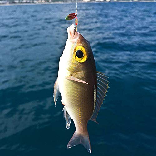 Zncmrr 30Pcs Fishing Lures Kit Set Spinnerbait For Bass Trout Walleye Salmon Assorted Metal Hard Lures Inline Spinner Baits thumb #6