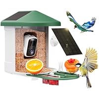 Smart Bird Feeder Camera with AI Identify Bird Species only .99: eDeal Info