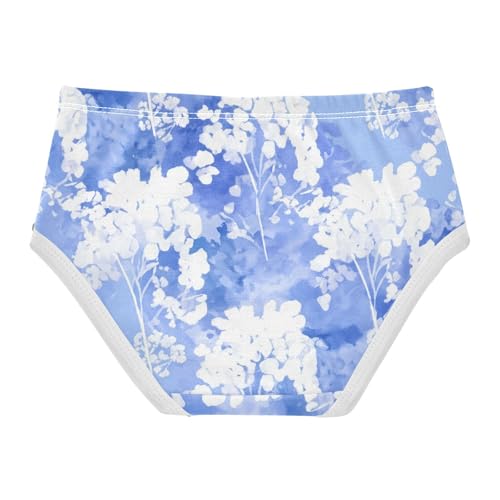 Girls Underwear Toddlers 2t Cotton Little Girl Panties Animal Kids Undies Briefs Pastel Blue Watercolor Floral2