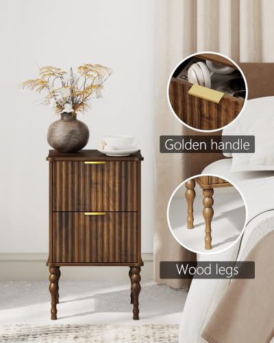 Image of Veegle Wooden Nightstand with 2 Drawers Dark Brown
