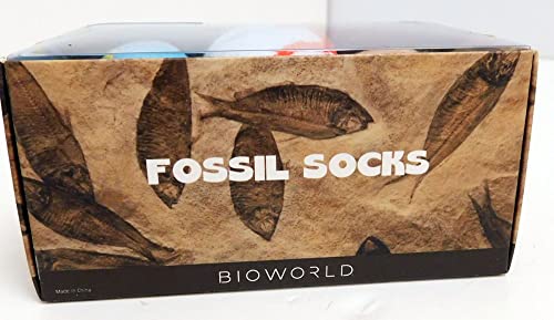 Dinosaur Fossil 3 Pair Crew Box Set 7