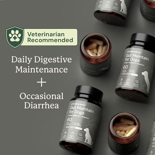 Image of Animal Biome Large Dog Pre and Probiotics, S Boulardii, Gut Maintain, 30 Ct | Triple-Action Dog Probiotics, Prebiotics & Phage S Boulardii Pet Supplements for Gut Health, Diarrhea Support, Food Topper