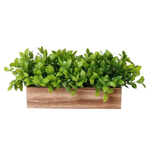 COTSEN Artificial Boxwood Potted Fake Plants Rectangular Wooden Planter Box for Family Office Indoor Outdoors Decor