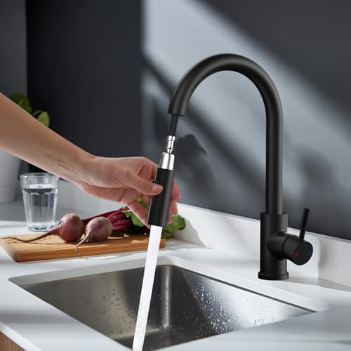 Rainsworth Schwarz Wasserhahn Küche mit Brause Ausziehbar - Hochdruck Küchenarmatur mit Zwei Wasserstrahlarten, Spültischarmatur 360° Drehung, Mischbatterie Küche aus Edelstahl Einfache Installation