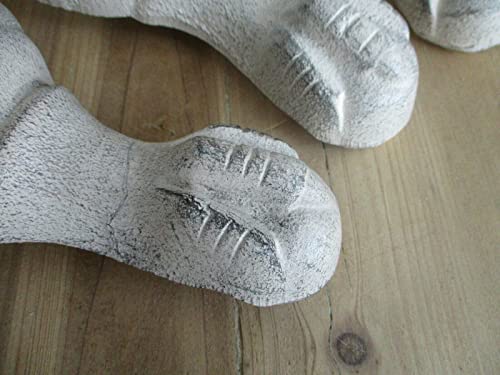 4 Cast Iron Bathtub Claw Foot Feet Bath Tub Legs Reproduction Distressed White #TOP3