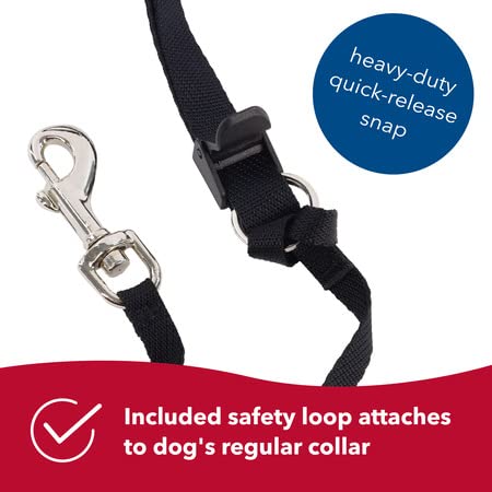 Coastal Pet Walk 'N Train Dog Head Halter - Gentle Leader For Dogs - No-Pull Dog Harness - Quick-Drying Polyester - Black - Small #TOP4