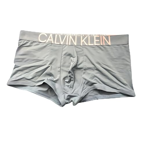 Calvin Klein Statement 1981 Microfiber Low Rise Trunks (US, Alpha, Medium, Regular, Regular, Grey)