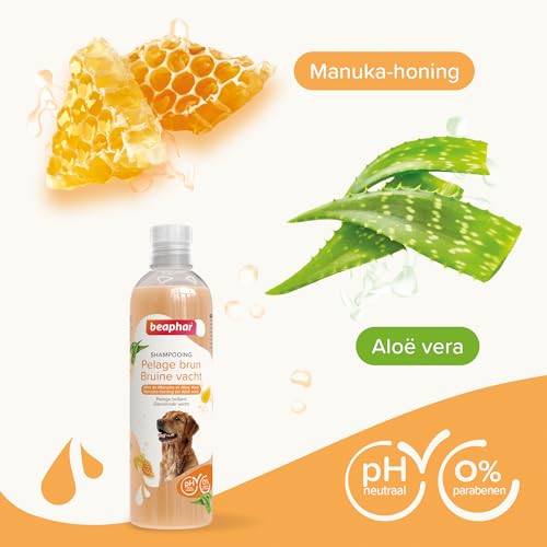 BEAPHAR - Essential Brown Peeling Hunde Shampoo - Extra fein - Glänzendes Fell - Enthält Manuka Honig und Aloe Vera - Parabene und Silikon - pH neutral - 250 ML
