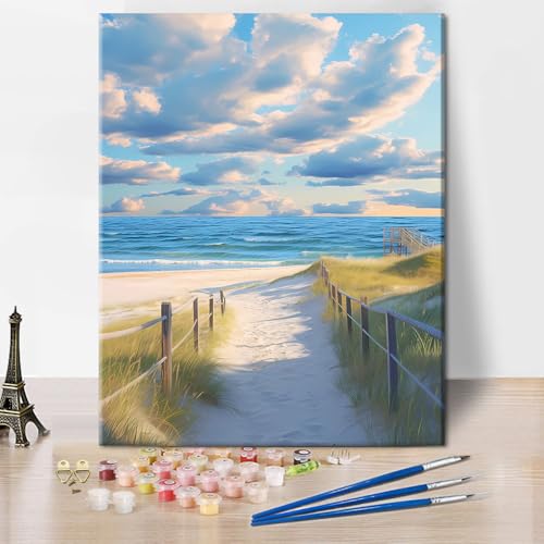 TISHIRON Pintura de playa por números para adultos, pintura al óleo a mano para decoración de pared del hogar, paisaje oceánico, kits de pintura por números sobre lienzo artesanías 40 x 50 cm (sin