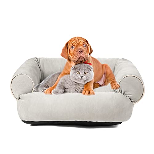 PETCUTE Cama Ortopédica para Gatos y Perros Pequeños, Lavable de Espuma Viscoelástica, Sofá Súper Cómodo Con Fondo Antideslizante, Cojín para Mascotas