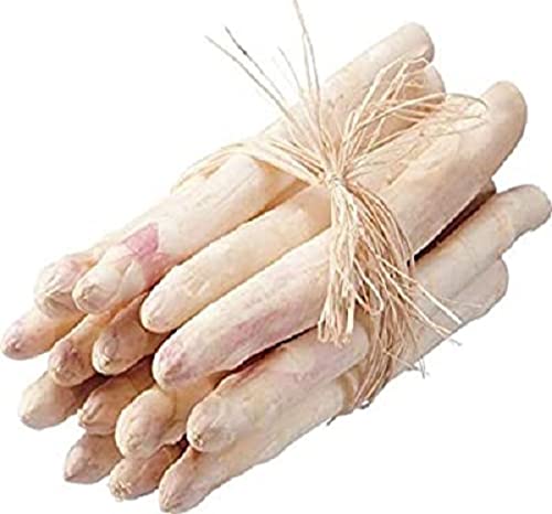 tegut… Bio Spargel weiß, 400 g ...