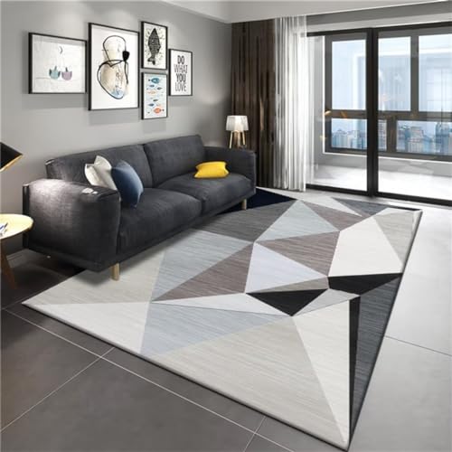 Alfombras entrada casa exterior protegida y salón moderno RUGMRZ gris 2