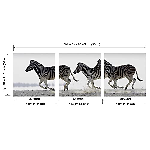 Pyradecor Zebra Canvas Prints Wall Art Black And White Animals Pictures Paintings For Living Room Bedroom Bathroom Home Decorations 3 Piece Modern Stretched And Framed Giclee Horse Artwork #TOP5