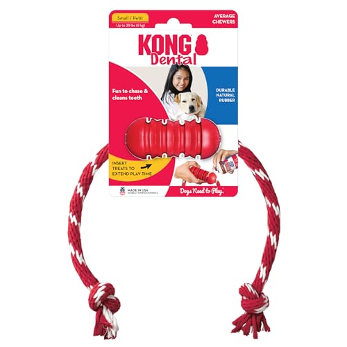 KONG Dental mit Seil - Für die Zahnpflege von Hunden - Befüllbares Kauspielzeug - Reinigt Zähne und Zahnfleisch - Für Kleine Hunde