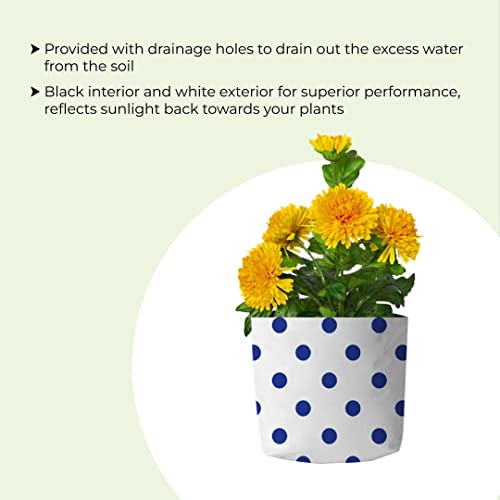TrustBasket UV Stabilized Long Life Premium colorful Dotted Grow bag for Balcony & Terrace Gardening - 10 Qty (20*20*35cms)| Home Gardening Plant Container Bag for Leafy Vegetable and Flower Plants