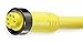 Brad Harrison 105000A01f120, Single-Ended Mini-Change Cordset, 5-Pole 105000A01f120