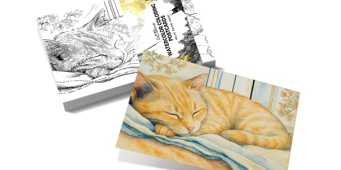 Cartes postales à colorier thème chat, un cadeau créatif unique