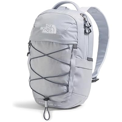 The North Face Borealis Mini Backpack, Blue Flax/Twilight Galaxy, One Size